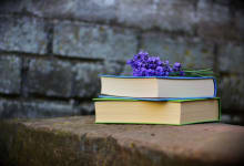 Hindi Literature